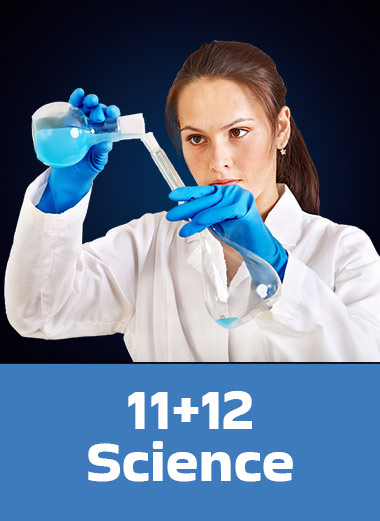 11+12 Science